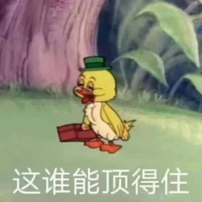 表情包，生活不易