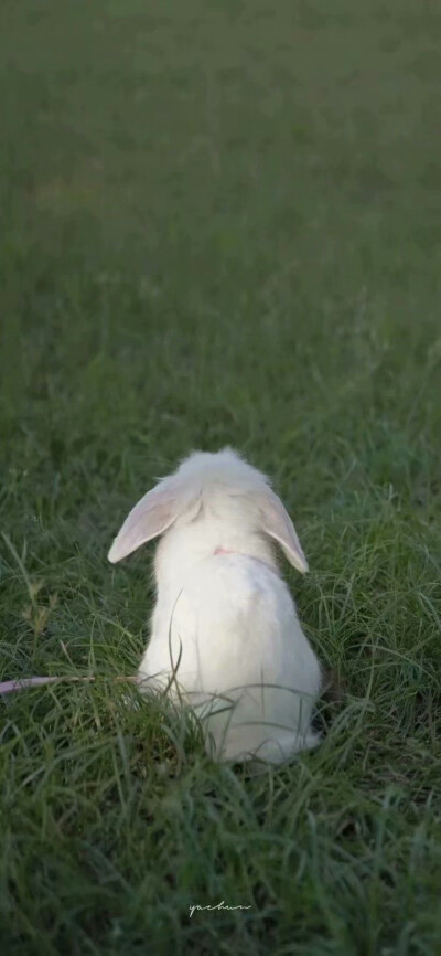 今日立秋