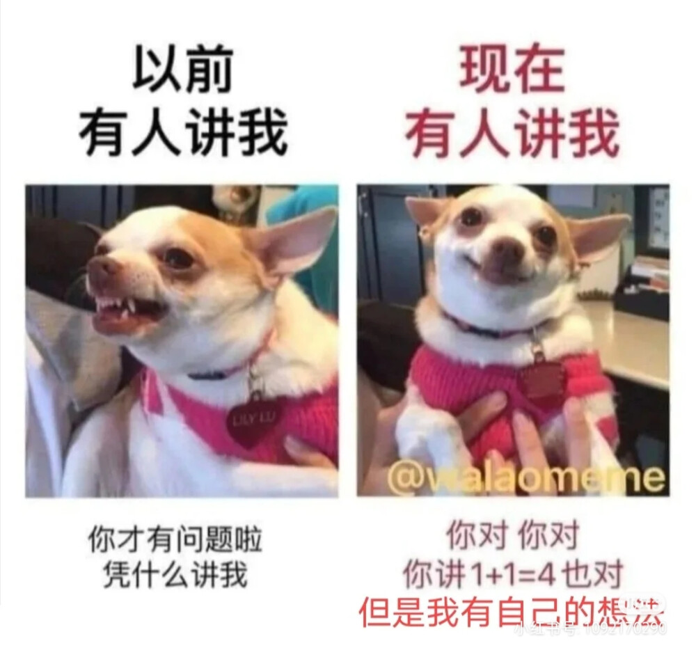 心情动态