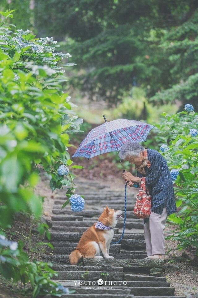 「我会用我一生去爱你」