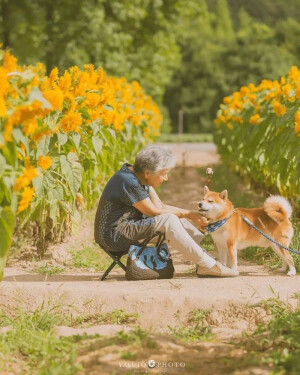 「我会用我一生去爱你」