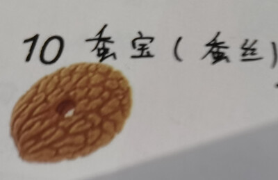 10.蚕宝(蚕丝)菩提:体态像一个春蚕织的大茧，似众多蚕丝盘绕。