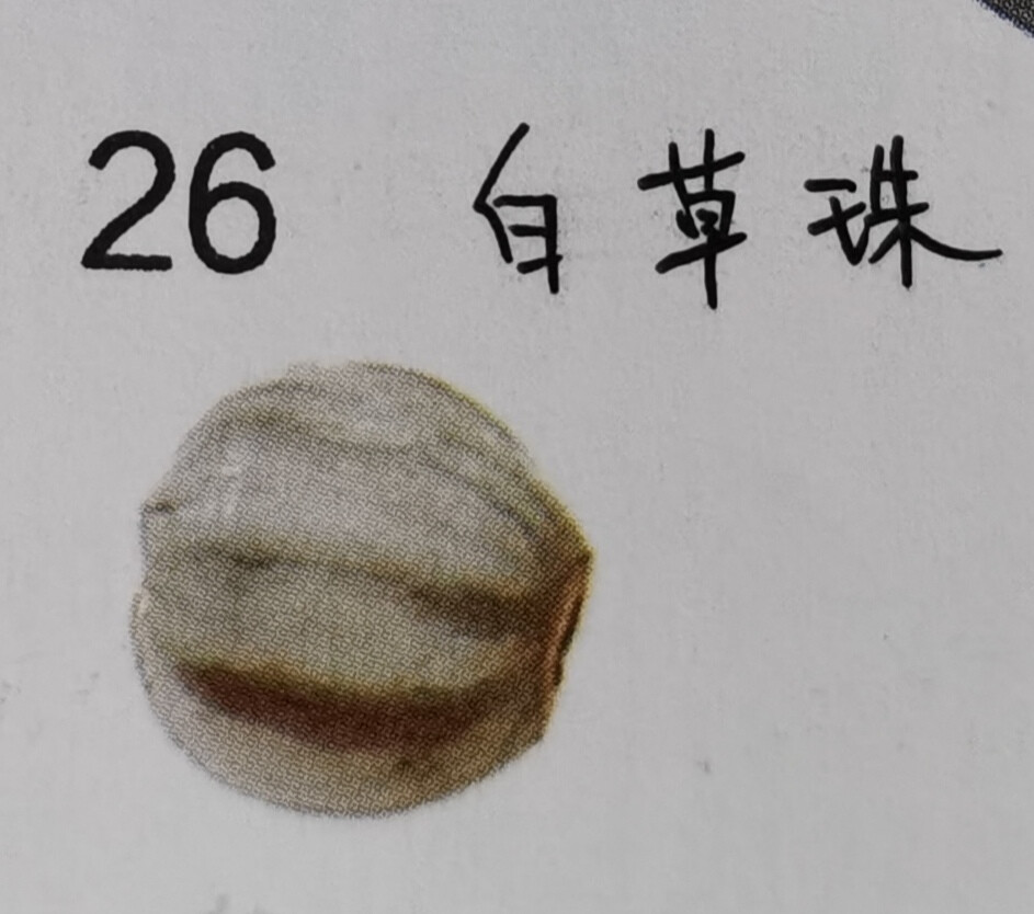 26.白草珠菩提:是一种天然的草籽，硬度很高，表面有深色纹理。