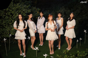 Apink