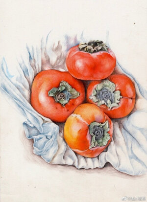 彩铅水果~@赵si姑娘 ​​​​