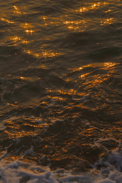 书里总爱写喜出望外的傍晚。