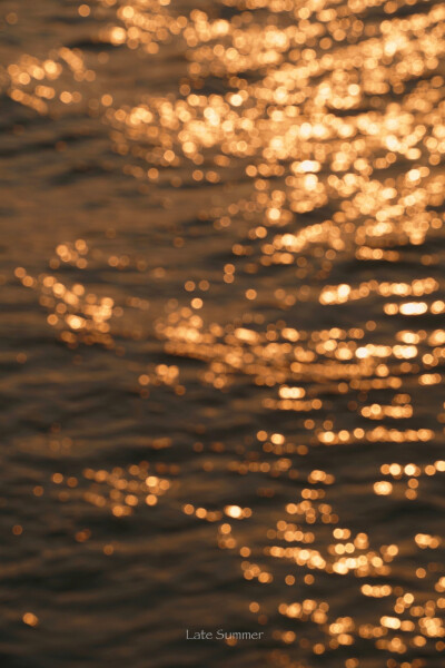 书里总爱写喜出望外的傍晚。