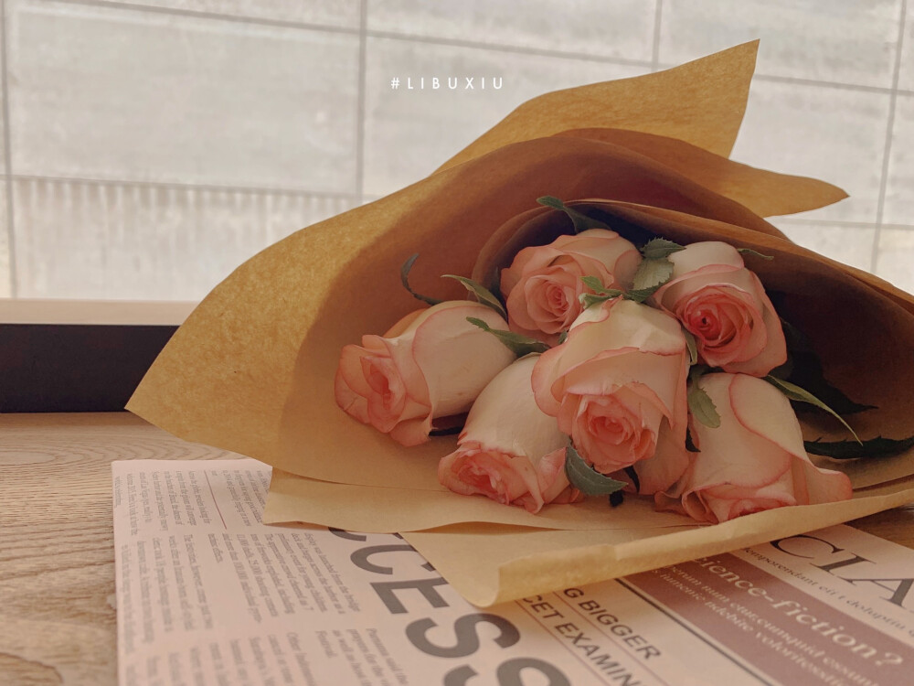 玫瑰鲜花图片背景壁纸