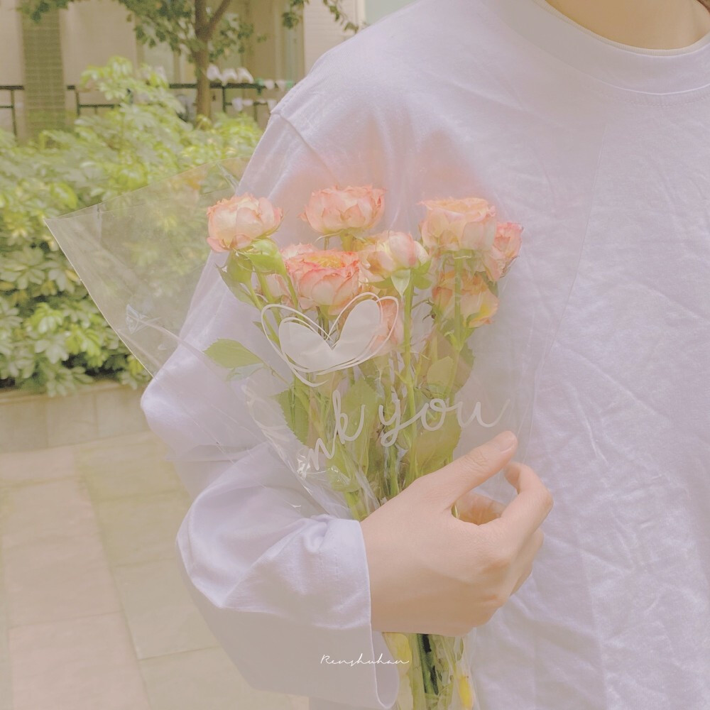 玫瑰鲜花图片背景壁纸