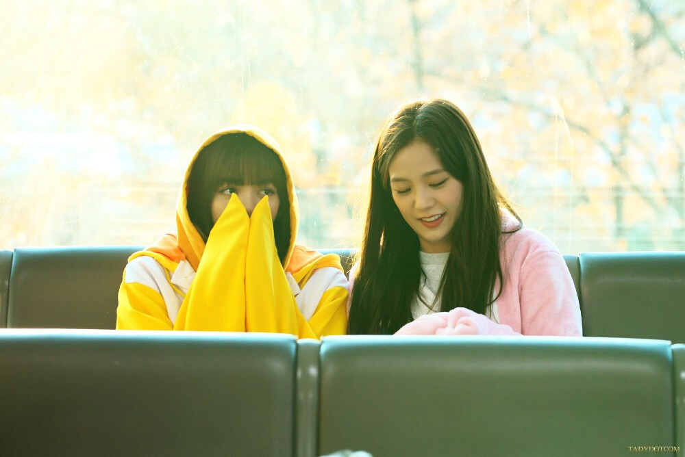 BLACKPINK
注明TadyDotCom，不标别改‼️