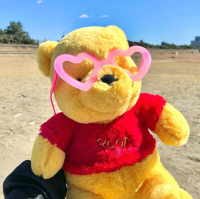 Winnie in Pooh