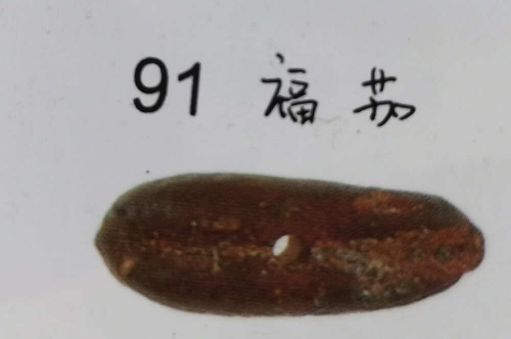 91.福茄菩提:外形像茄子。