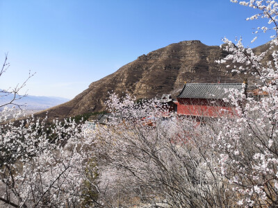 大同龙泉寺2021.4.3