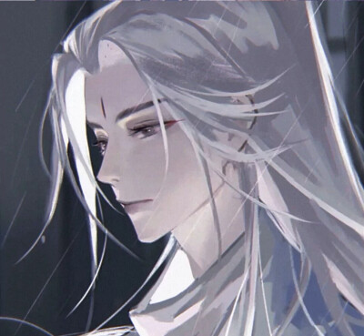 二哈和他的白猫师尊