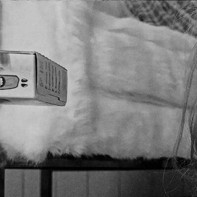 ♫*正在播放专辑：
Queendom. 