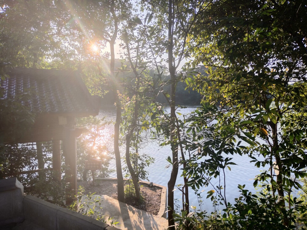 景