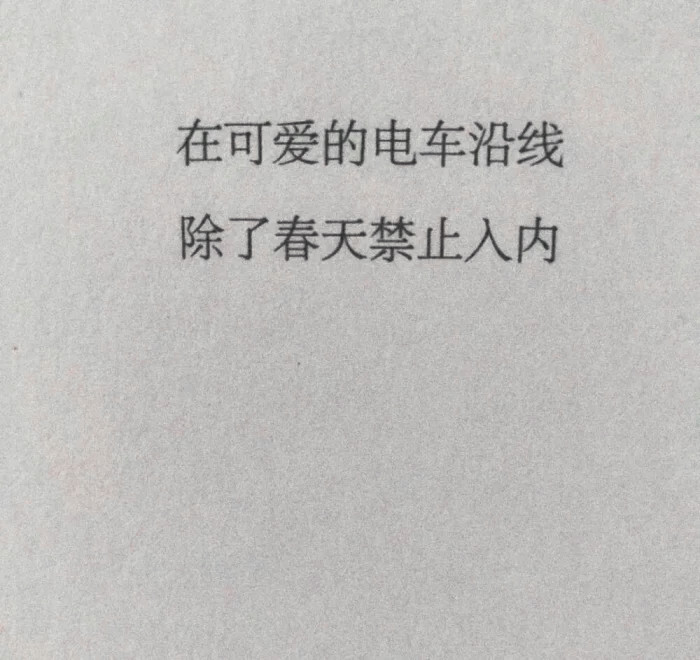 陈执 橘子熟了。