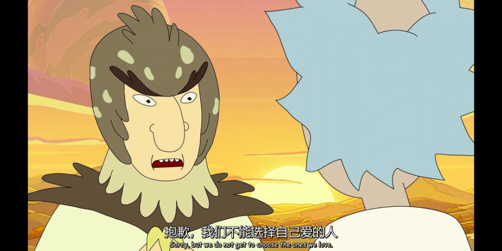 瑞克不同时期都爱鸟人