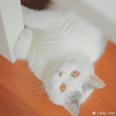 甜甜哦
与美好不期而遇
摄影@草莓小绒绒
#十月你好##乘车时拍到的窗外风景# ​​​