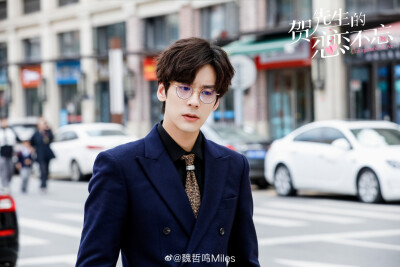 贺先生的恋恋不忘