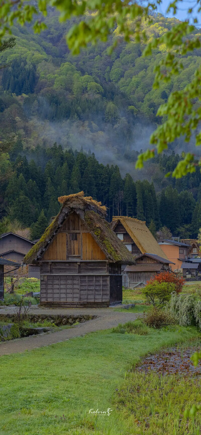 入秋的第三天 下大雨 想到那时的你我 心口感到疼痛 矫情也好 伤感为好 总会好的