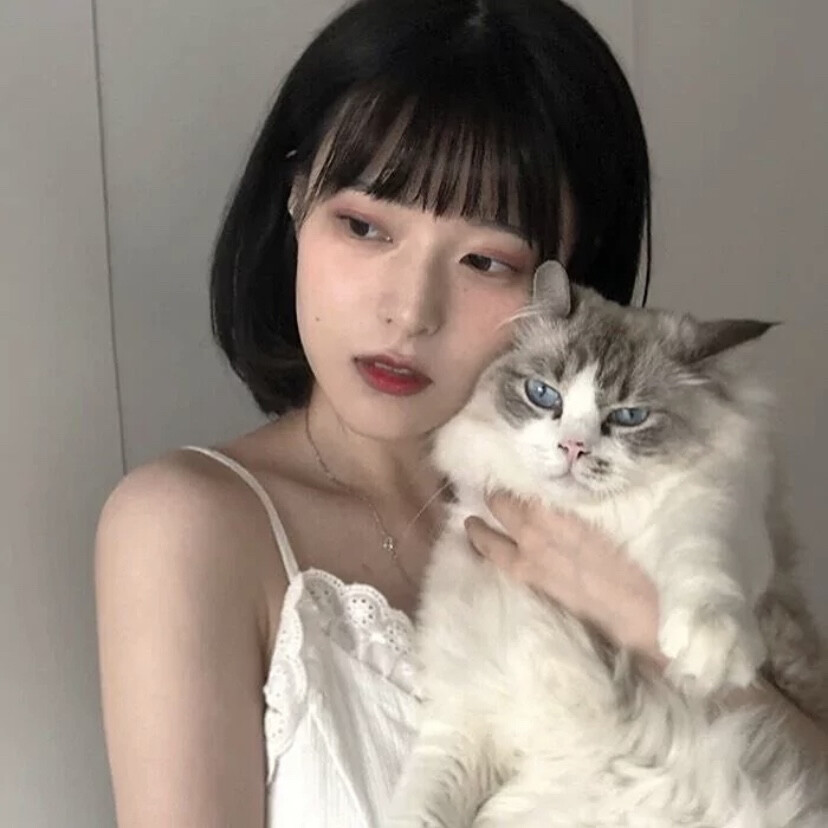 男头女头
抱猫猫
双向的奔赴才有意义。