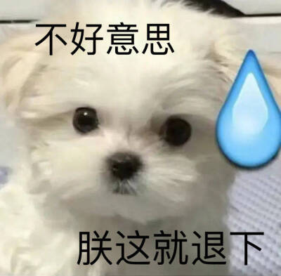 表情包