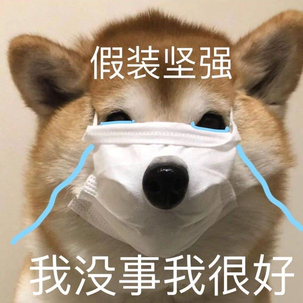 表情包