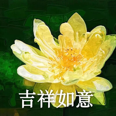 花卉头像/打入中老年人俱乐部
