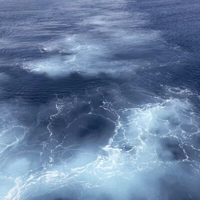 海