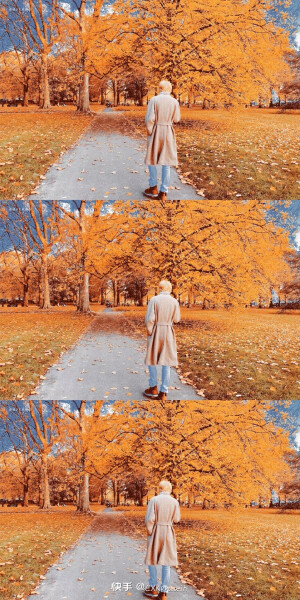陪你漫步在通往属于你的时代的小路上，一路有你！！