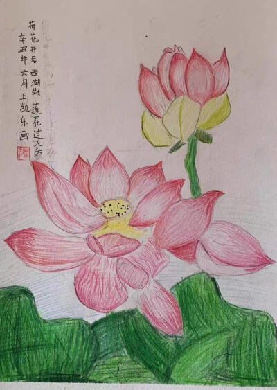 艺彩时光 《彩色铅笔荷花》