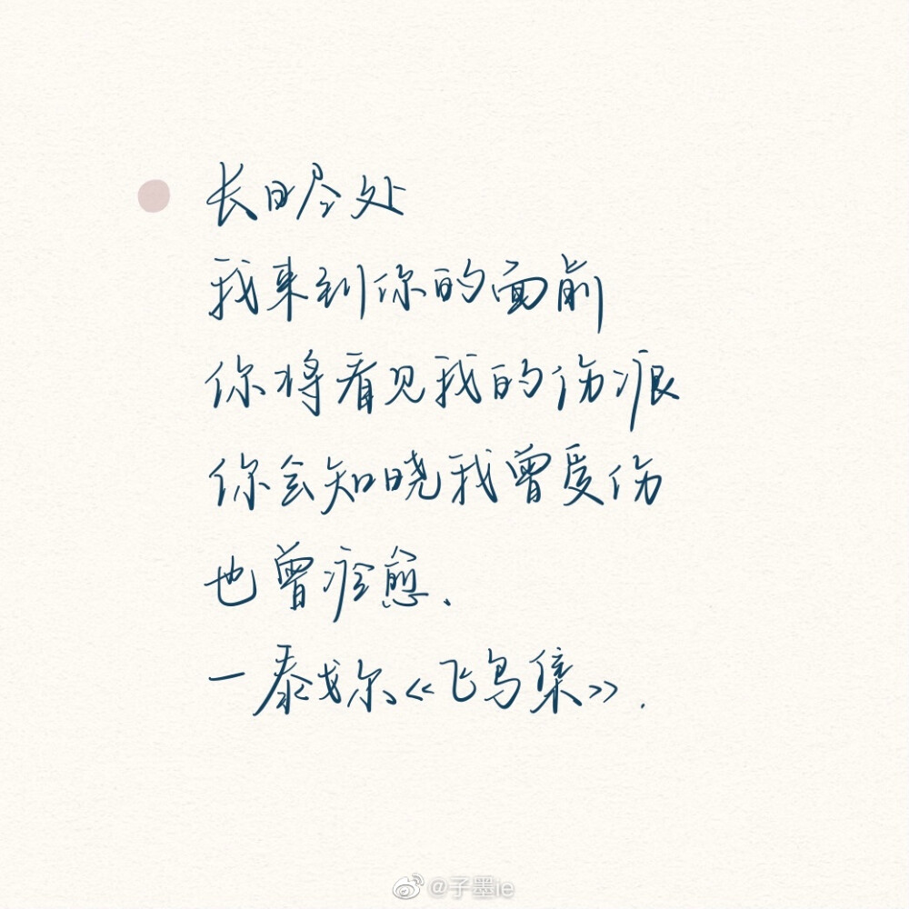 今日摘抄