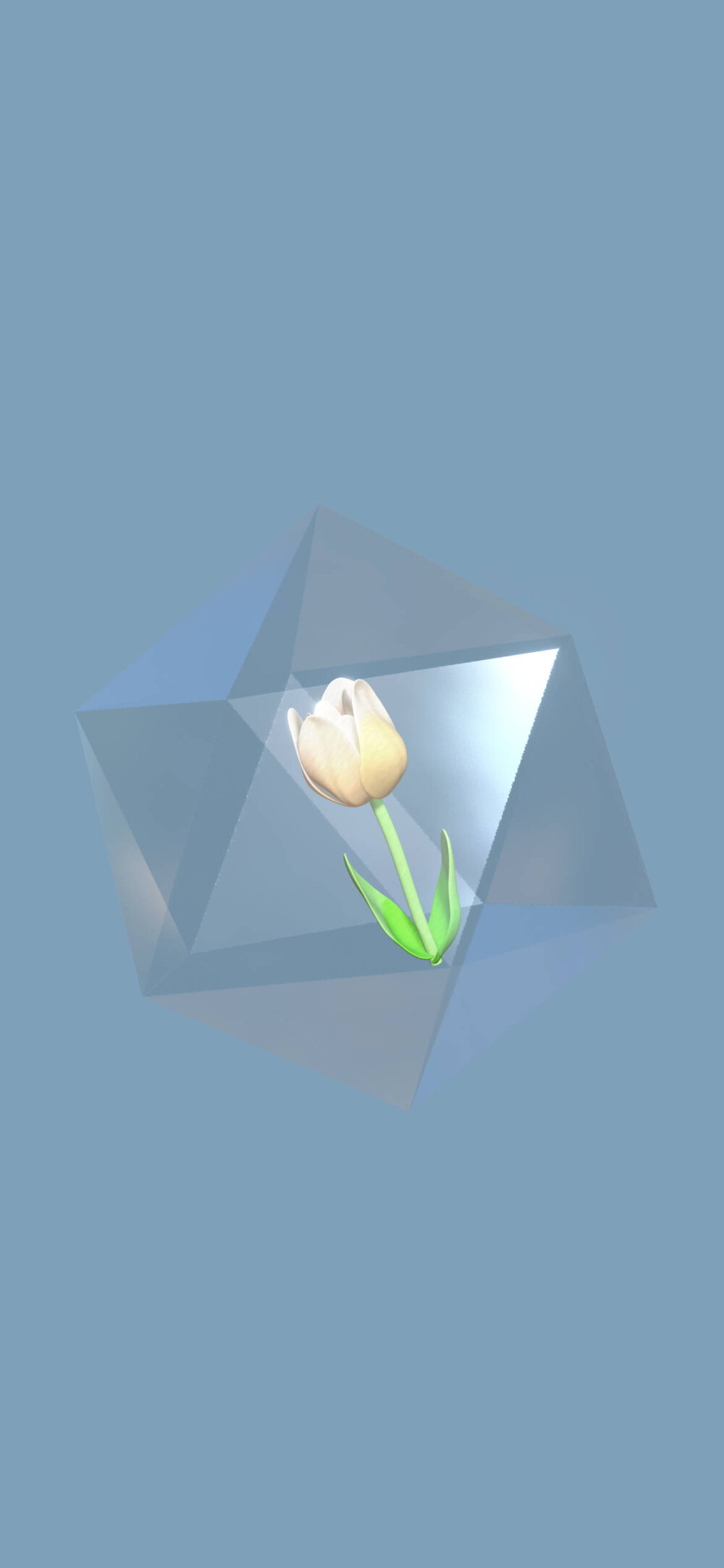 3D壁纸
画师：菠萝咕咕狗