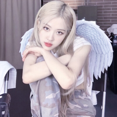 Rosé
禁二改
使用二转注明沈北虞