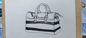 照片线描写生对比