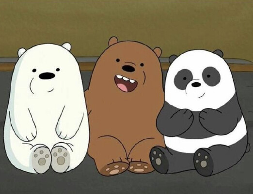 We bare bears