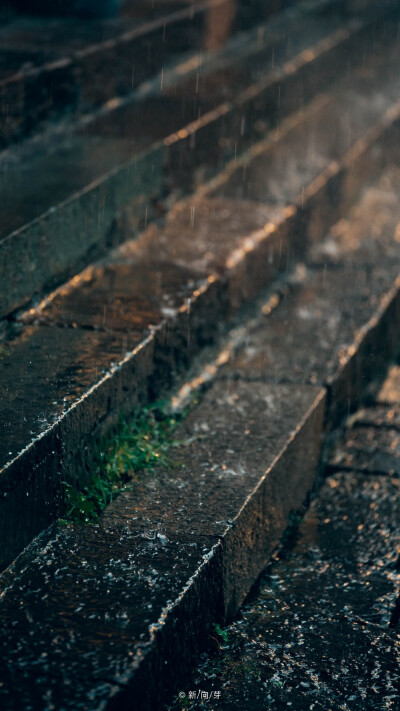 街巷 天街小雨润如酥
壁纸
