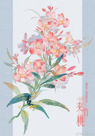 〔手绘花卉〕绘师：画画的青禾