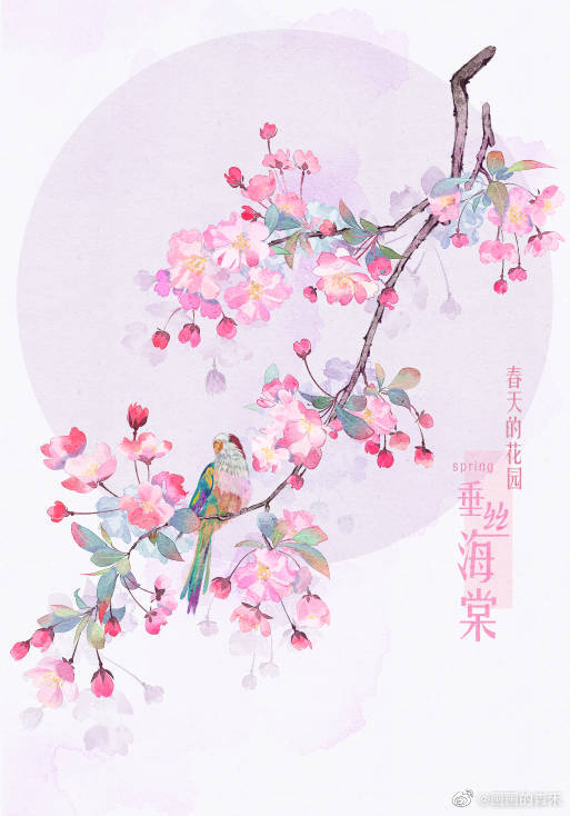 〔手绘花卉〕绘师：画画的青禾