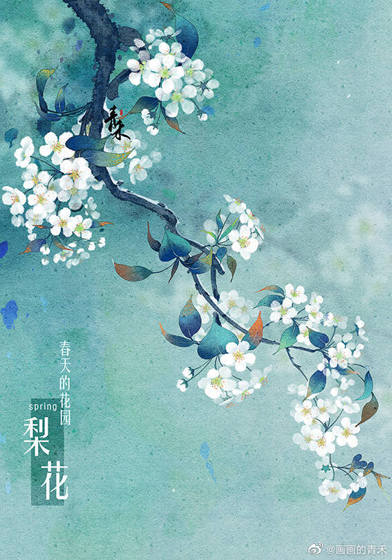 〔手绘花卉〕绘师：画画的青禾