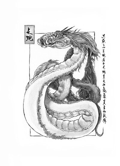 山海经（沈鑫）