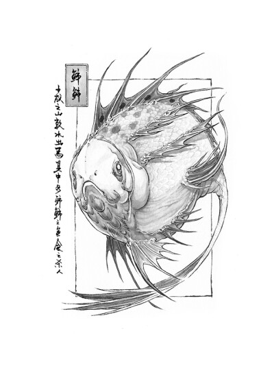 山海经（沈鑫）