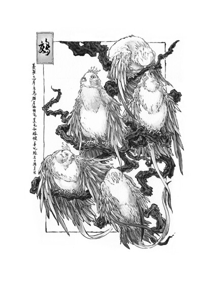 山海经（沈鑫）