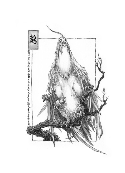 山海经（沈鑫）