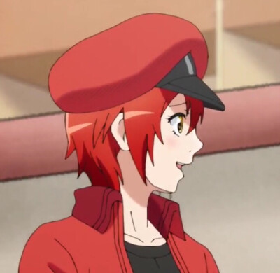 工作细胞
红细胞
要图直接抱走