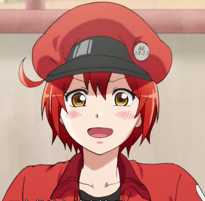 工作细胞
红细胞
要图直接抱走