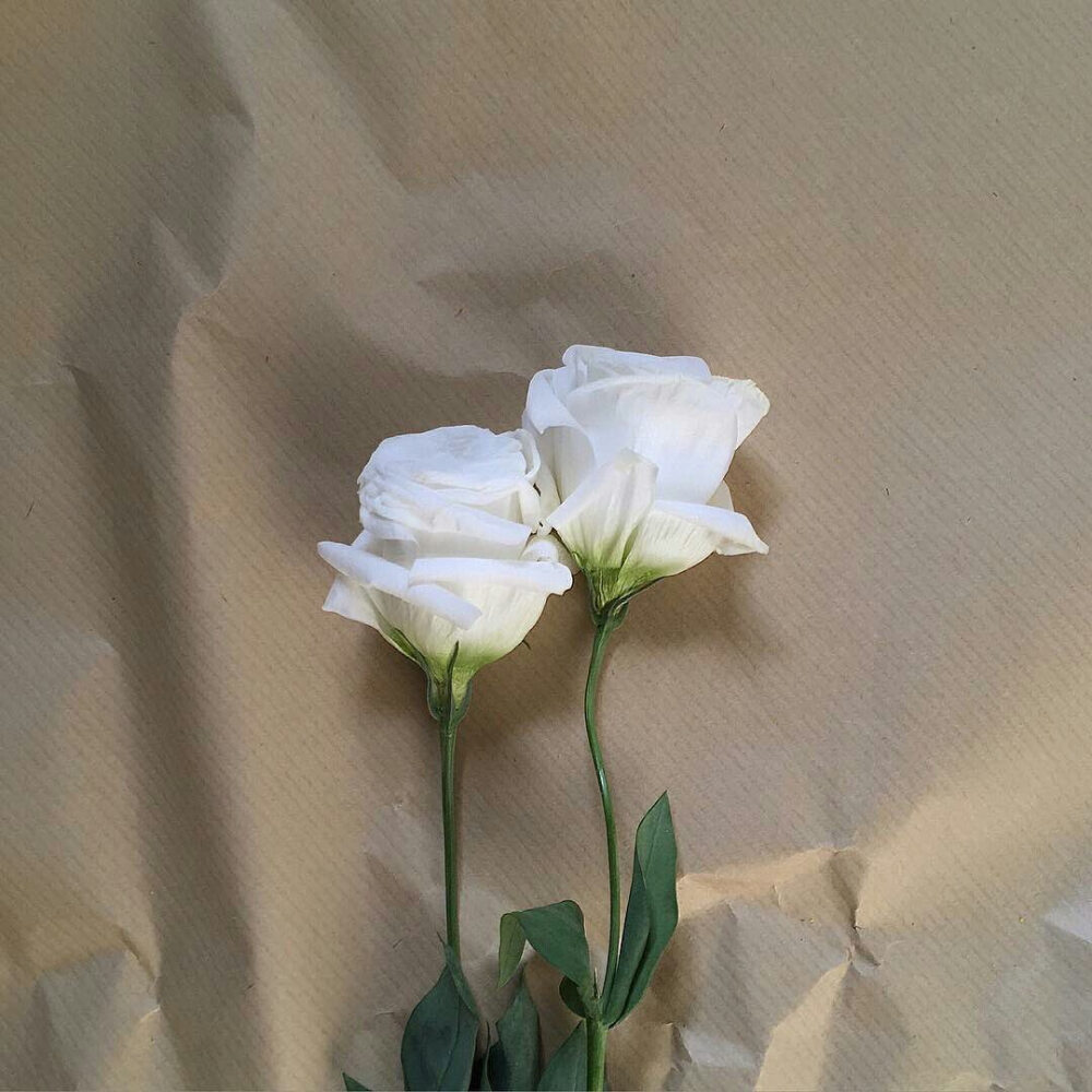 图标