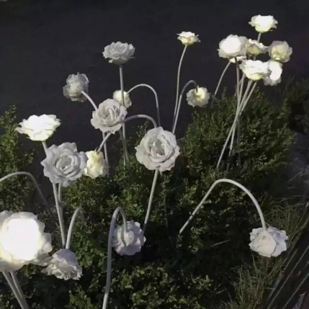 Lisa套图可二改/简介