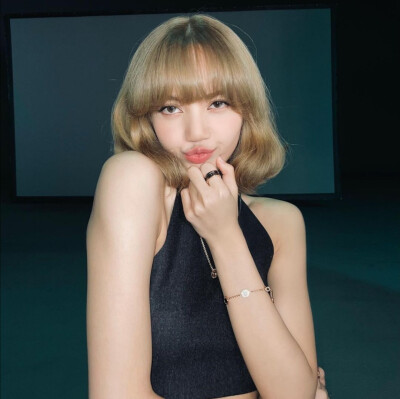 Lisa套图可二改/简介